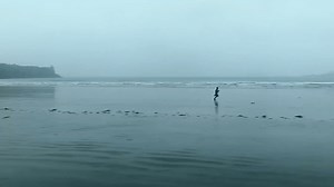 Filmora Master Class-Nikolaj Green