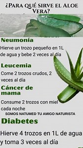 108K views · 4.7K reactions | PARA QUE SIRVE EL ALOE VERA....FELIZ DOMINGO FAMILIAR @seguidores @todos #domingo #reels #saludybienestar #viral #parati #cuerposano #salud #fyp #saludable #viralreels | Mario Rey | Facebook