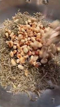 10min Korean side dish: Anchovy with peanut aka. Myeolchi bokkeum