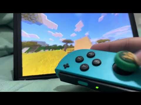 🎮 New to Minecraft on Nintendo Switch? I got you!