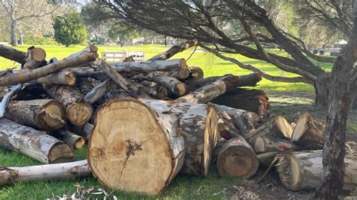 Yarra Council admits it bungled own rules at golf course reno