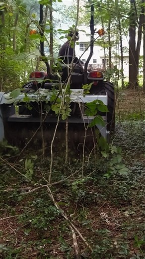 Cleaning Up Backyard with Brush Mulcher #outdoors #baumalight #backyard #beforeandafter #shorts