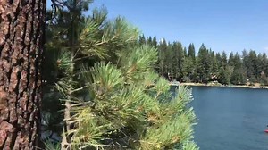 2.7K views · 166 reactions | Live shot of a clear blue Shaver Lake | Bass Lake Summer | Facebook