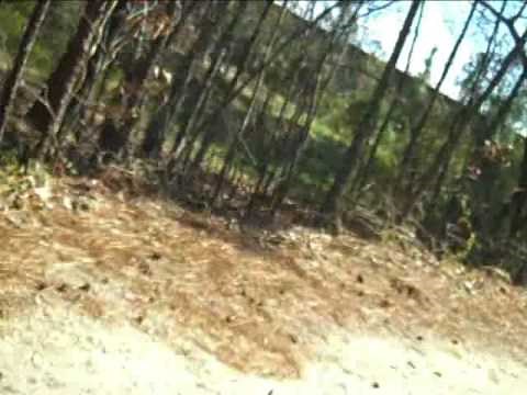 Motion Sickness Test