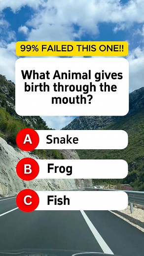23K views · 1.5K reactions | What animal gives birth through the mouth? #quiz #QuizTime #fun #noblequiz #fblifestyle | Quiz Master Hub | Facebook