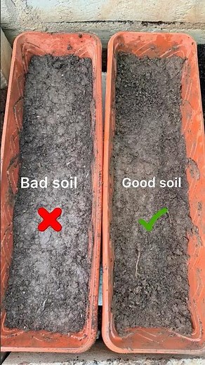 Seed Growth Experiment: Good Soil vs Bad Soil