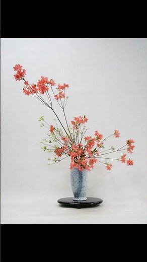 【初心者】お花一種類、花瓶の生け方 #shorts #生け花 #ツツジ