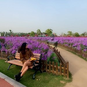 Nicknamed the "Invisible Man," this Chinese painter is disguising himself to blend in with nature! It takes over three hours to finish a full-body painting. #GenZers #FunChina | China Plus Culture