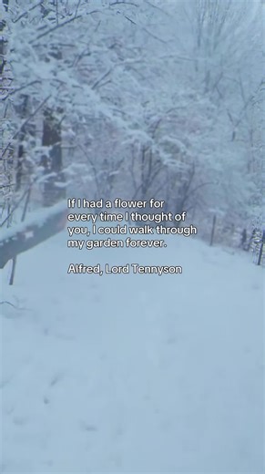If I had a flower for every time I thought of you, I could walk through my garden forever. Alfred, Lord Tennyson #iloveyousomuch #meanttobe #quotes #centralpark #lovecore