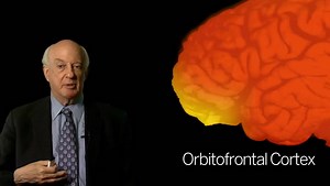 The Neurobiology of Evil