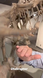 33K views · 1.6K reactions | Found Footage  I love this #Utahraptor...