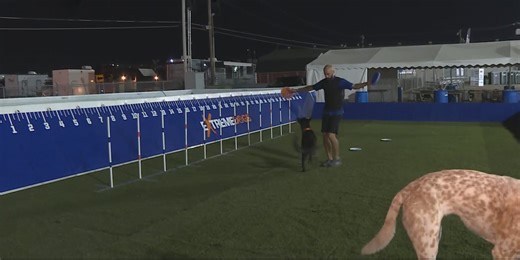 Extreme Dogs Stunt Dogs Show comes to Heart of Texas Fair and Rodeo
