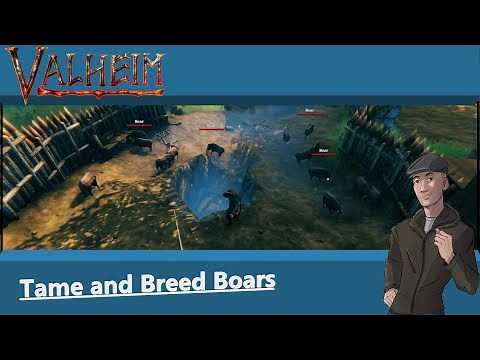 How to Tame and Breed Boars in Valheim