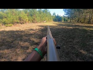 SC Deer Hunting With Dogs 2025 “Quick Double Up” Two Kill Shots On Camera