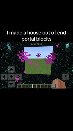 I made a house out of end portal blocks