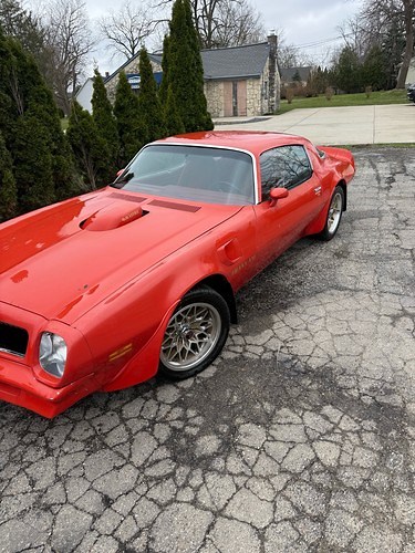 1977 Pontiac Firebird Trans Am | eBay