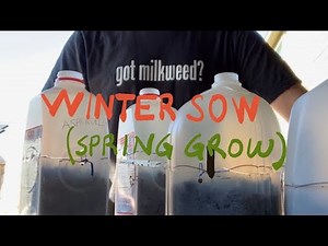 How To Make Winter Sowing Containers With Milk Jugs