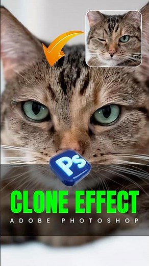 Clone tool in adobe photoshop