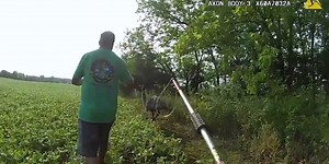 Watch: Runaway emu captured after leading Ohio police on 'emusing' foot chase