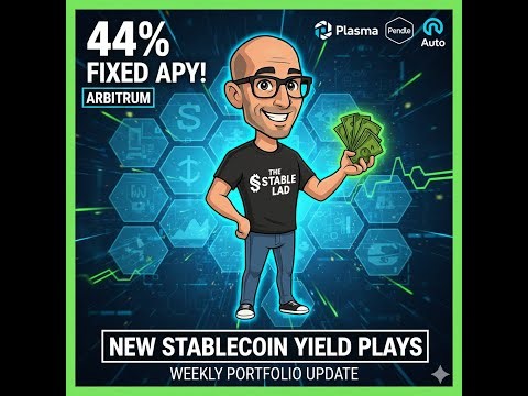 44% Fixed APY on Arbitrum! Juicy Yield on Plasma, Pendle, Auto | Weekly Portfolio Update (Oct 2025)