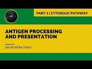 ANTIGEN PROCESSING AND PRESENTATION PART1 CYTOSOLIC PATHWAY