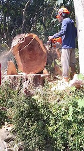 Ful power | Suprapto