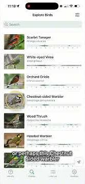 How I Use Merlin to Find Target Birds (FeatherQuest Scouting – Part 1)
