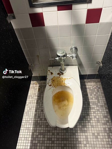 No description #fyp #funnypuh #poop #toilet #holycrap | toilet bowl