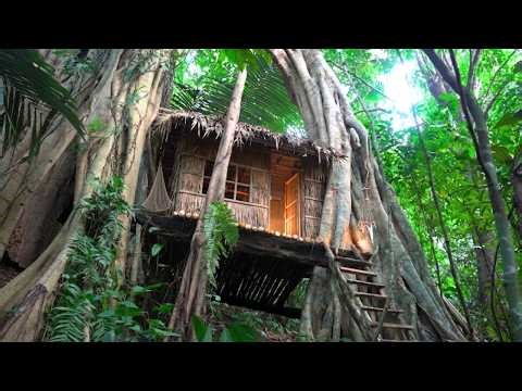 Building a Survival Shelter Beneath the Jungle Giants - Building Bamboo Tree House Shelter