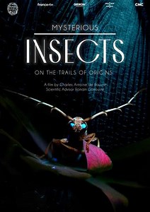 Mysterious Origins of Insects (2022) - Movie