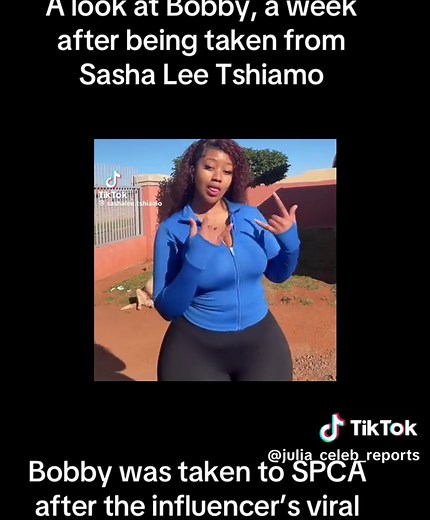 Bobby's Journey: Life After SPCA Rescue