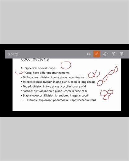 classification of bacteria in microbiology/cocci bacteria/shape of bacteria