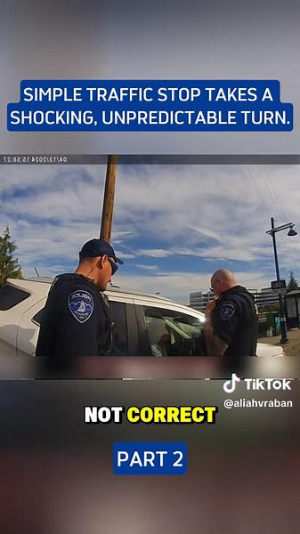 Unexpected Turn During Simple Traffic Stop