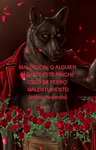hey sexi lady 😼#ovulacion #viralvideo #fypdong #fypシ゚viral #CapCut #lobosolitario