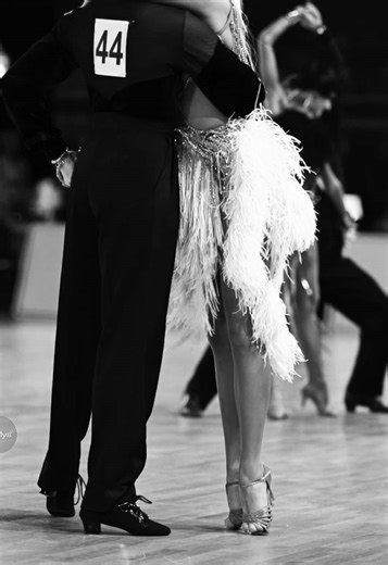 Beautiful Moments in Ballroom Dance Performances