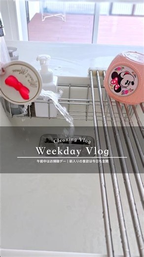 【Weekday Vlog】午前中はお掃除デー🧼✨新入りの食欲は今日も全開🍚🐈💕 #WeekdayVlog #日常vlog #お掃除vlog #猫のいる暮らし#子猫