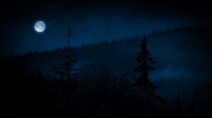 Misty Forest At Night With Moon