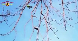 Click 4 Cab on Reels | Facebook