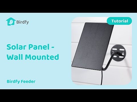 How to Install the Solar Panel on a Wall - Birdfy Feeder Tutorial