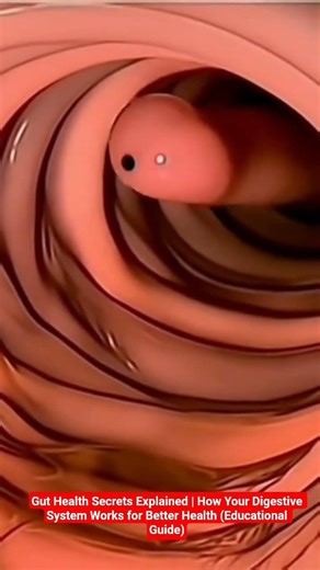 Gut Health Secrets Explained | How Your Digestive System Works for Better Health (Educational Guide)