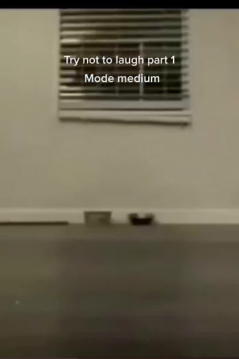 STumblegUys90102 (@stumbleguys90102)’s videos with original sound - STumblegUys90102