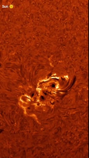 Exploring the Sun: A Deep Dive into Our Star