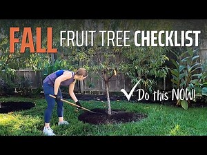 What To Do for Your Fruit Trees NOW in Fall (Plus a Couple of Don'ts...)
