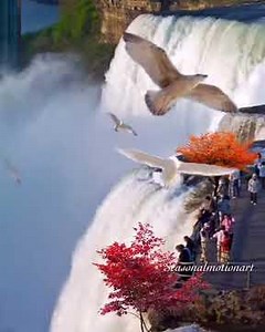 Waterfall, Niagara fall Canada gif art motion