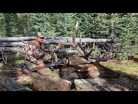 |OTC| Backcountry Utah Archery Elk Hunt |15 YARDS BULL DOWN|