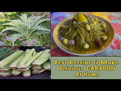 The Right Way To Cook CARDOON At Home