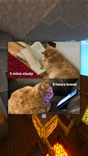 Boost Study Hours: The Perfect Break 🧠⚡️