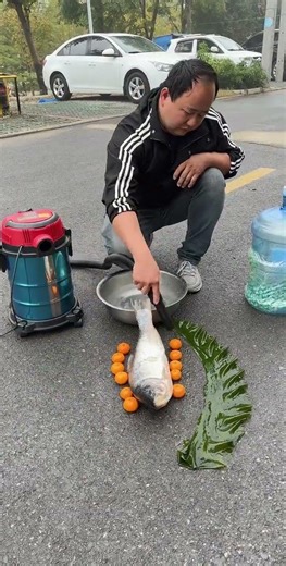 Yangzi Vacuum Cleaner Wet & Dry Blowing Dual-Use Vacuum Cleaner