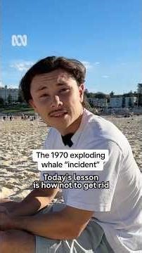 The 1970 exploding whale "incident" #Whale #Explosion #HistoryShorts #Oregon #beach