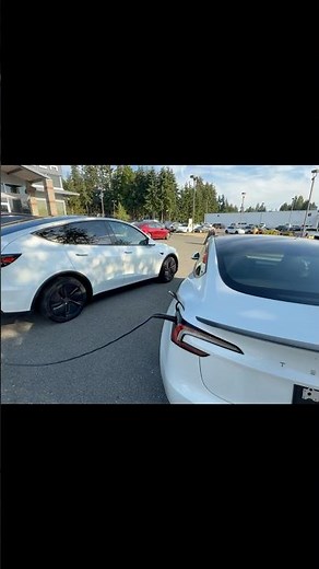 2026 Tesla Model Y Juniper Vs Model 3 Rear Exterior Design | Pearl White MultiCoat